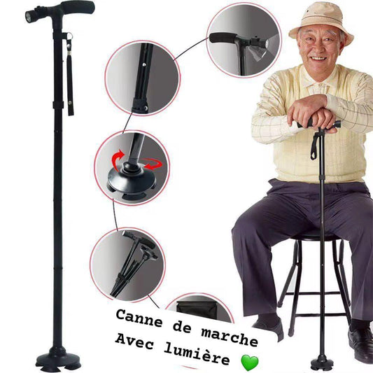 Canne de marche